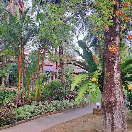 Jasmin Resort - Sha Plus 蔻立 外观 照片