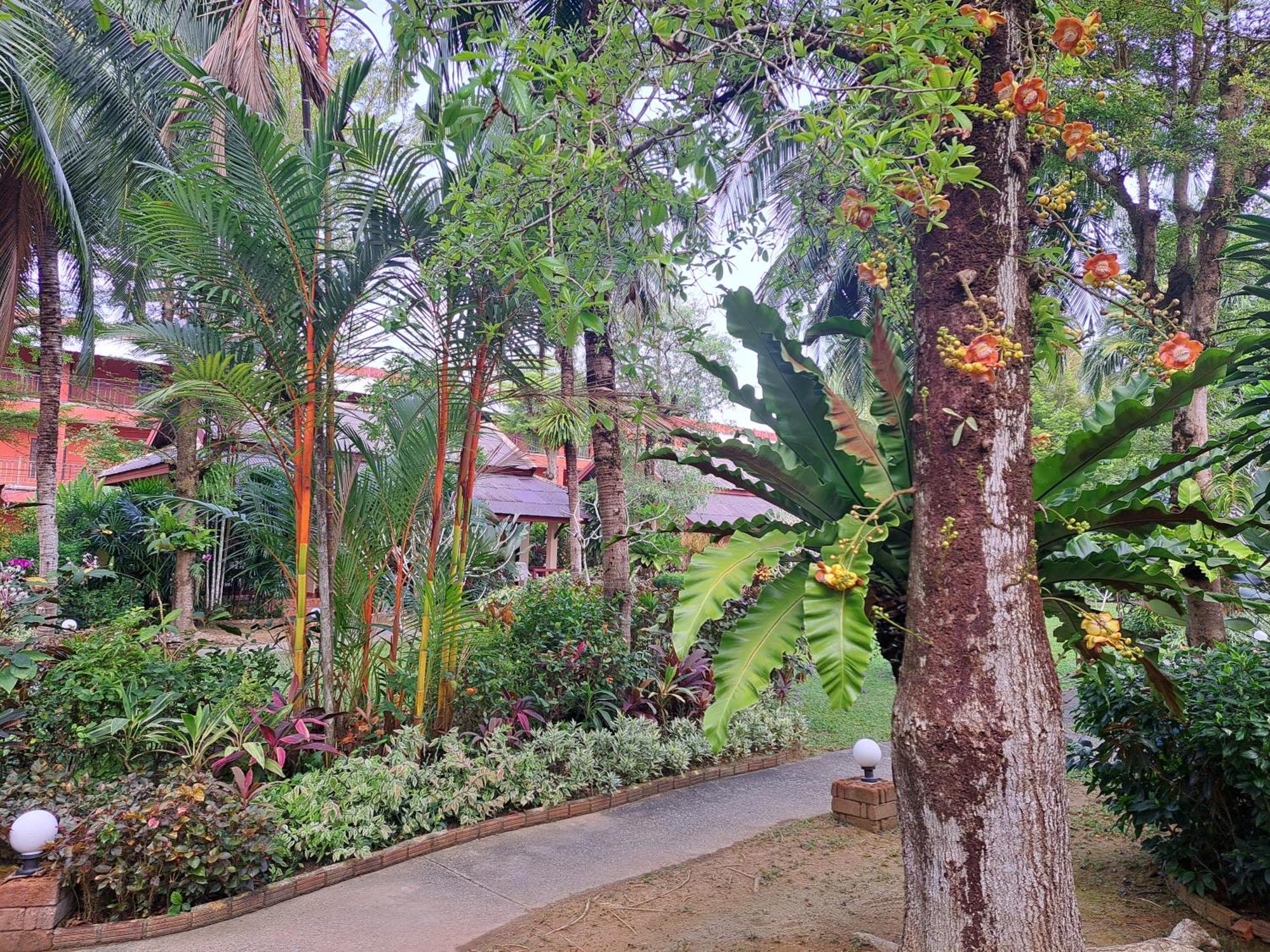 Jasmin Resort - Sha Plus 蔻立 外观 照片
